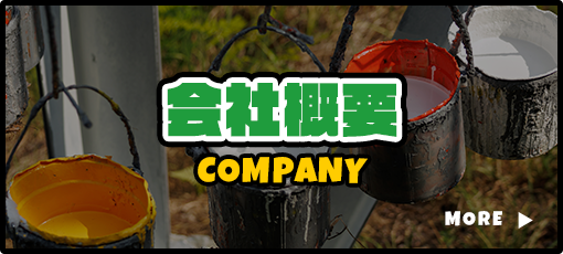 bnrhalf_company_off